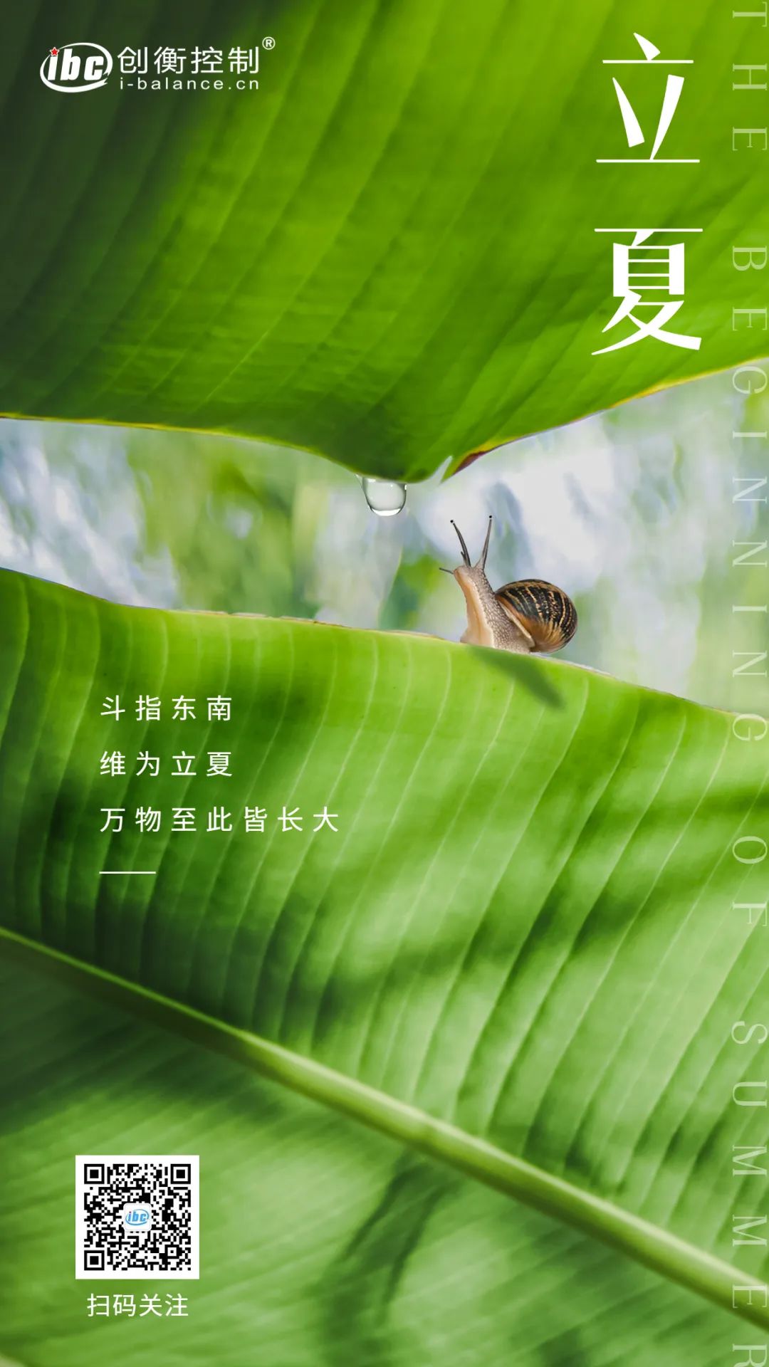 立春.jpg