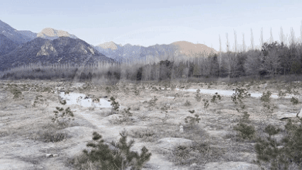 动1 多机协同作业.gif